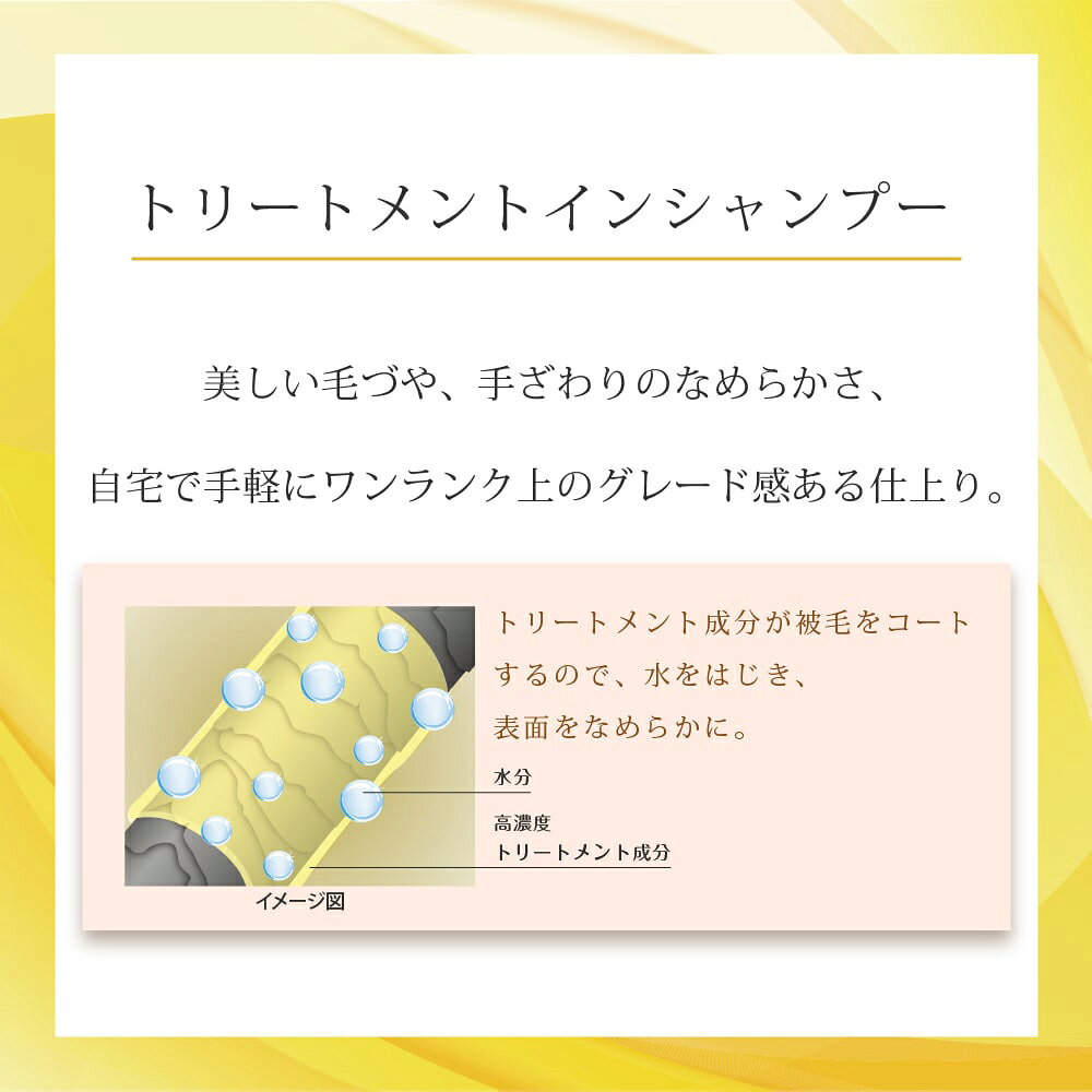 �饤���󡡥����å�����å����ȥ꡼�ȥ��ȥ��󥷥��ס��������ѡ��ե��쥹�ȥ��꡼�󡡤Ĥᤫ���ѡ�360ml������������