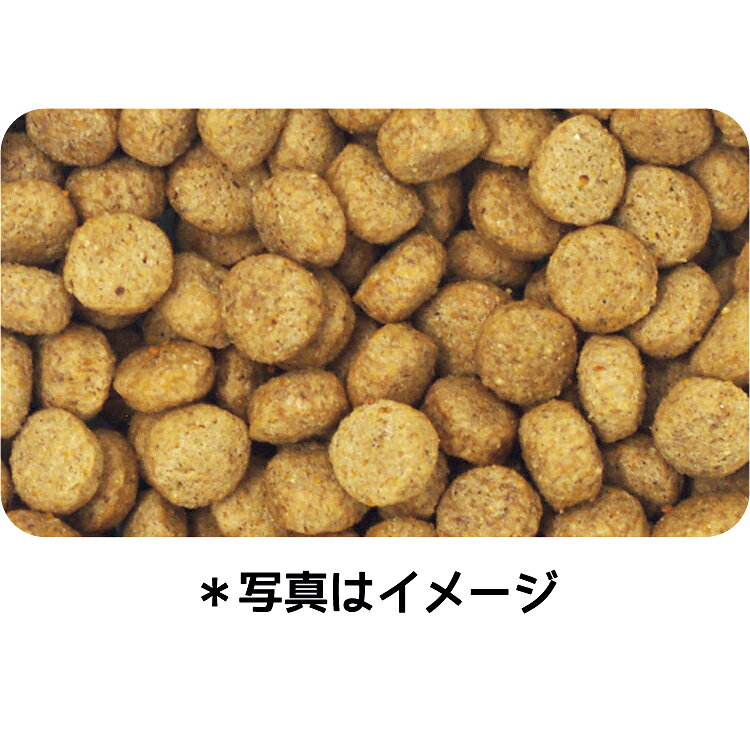 ドッグフード　イースター　ウェルケア　ビーグル専用　アダルト〜シニア　2．7kg（900g×3）　関東当日便 chanet-11143018 charm 楽天市場店 サンプル画像2