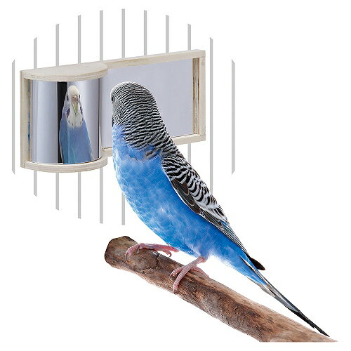 マルカン　バードパレス　すがたミラー　鳥　おもちゃ　鏡　関東当日便