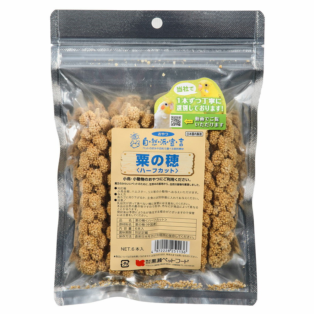 1125Ψ2ʬ11100󡡹ڥåȥաɡ桡ϡեåȡ6ꡡĻ