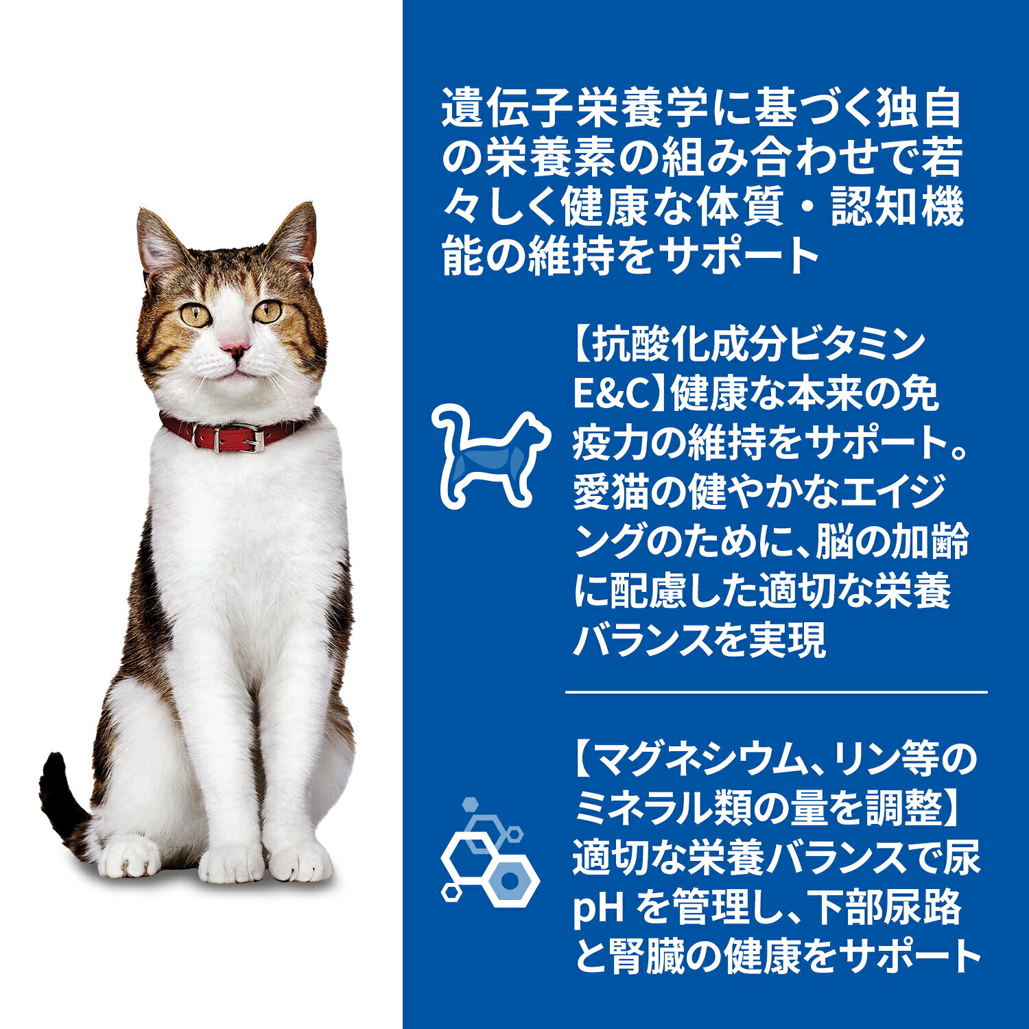 キャットフード　ヒルズ　サイエンスダイエット　パウチ　シニアトータルケア機能　7歳以上の高齢猫用　チキン　＋　サーモン　85g×各3袋　ヒルズ　猫　関東当日便 chanet-11150175 charm 楽天市場店 サンプル画像2