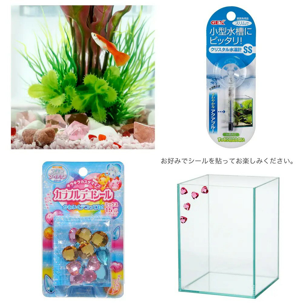 ��Ǯ�ӵ��˻��饻�åȡ����åԡ����åȡ�guy��������ե��륿��̵�����ޤ��ա��ܽ��͹����