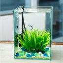 (熱帯魚)飼育セット グッピーセット guy~水~ フィルター無 おまけ付 本州四国限定