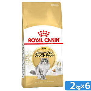 ロイヤルカナン 猫 ノルウェージャン フォレスト キャット 成猫用 2kg×6 ジップ付(キャットフード ドライ) お一人様1点限り 関東当日便