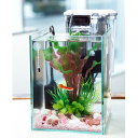 (熱帯魚)飼育セット グッピーセット guy~炎~ おまけ付 本州四国限定