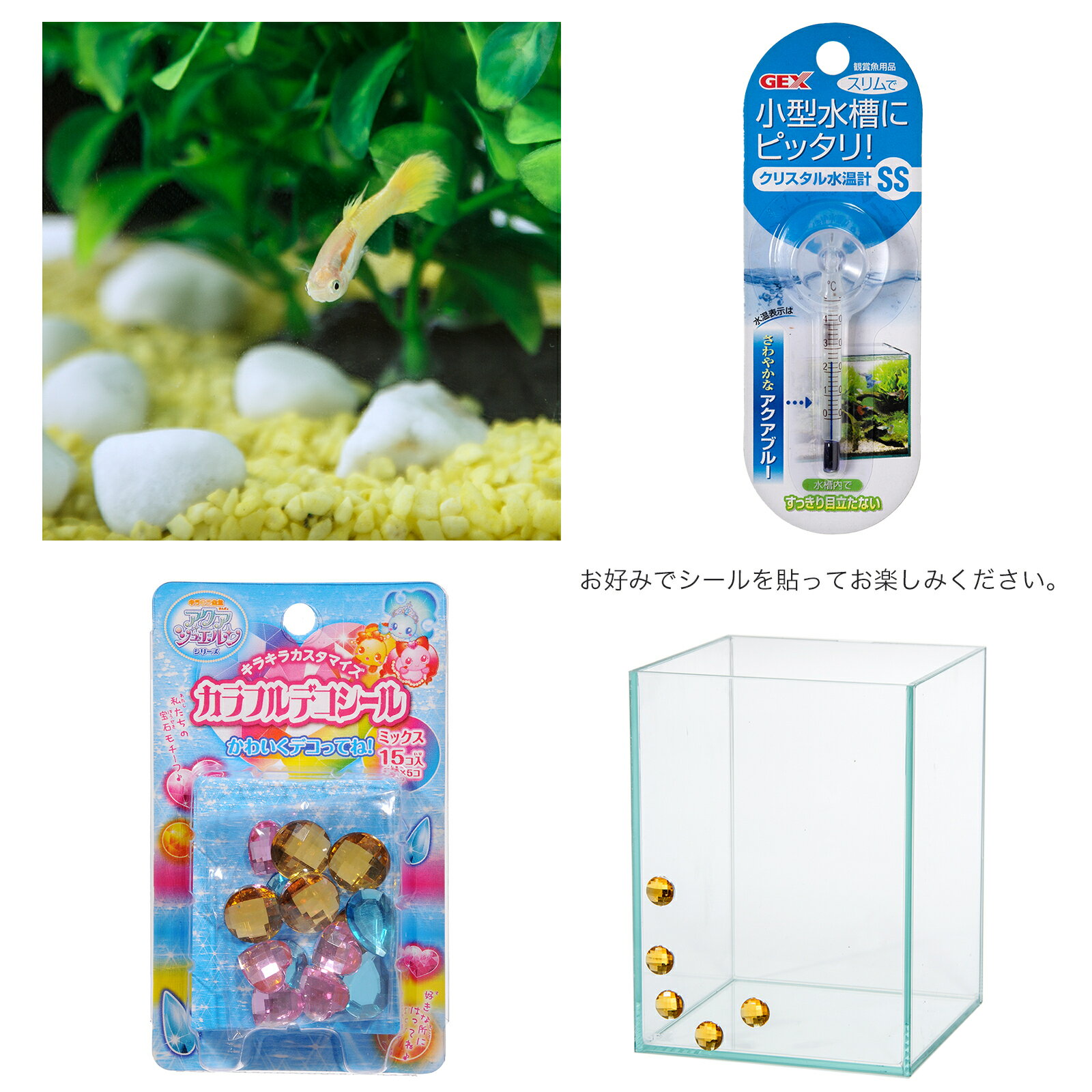 ��Ǯ�ӵ��˻��饻�åȡ����åԡ����åȡ�guy����������ޤ��ա��ܽ��͹����