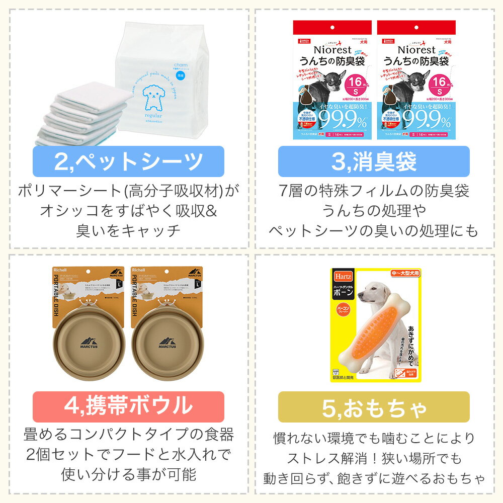 サンプル画像3