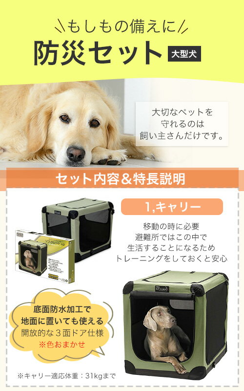 サンプル画像2
