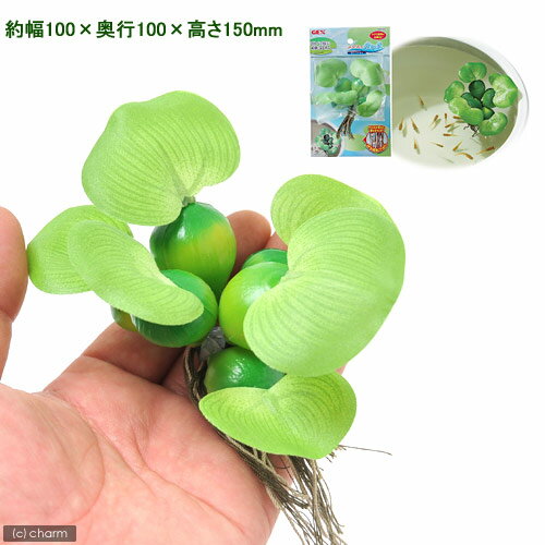 GEX��������λ����𡡥ۥƥ���������ff��num900���ץ�ߥ����յ��ѥա��ɡ��˻��ѹ⤿��Ѥ������ա��ɡ�20g����������յ�������������