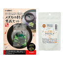 スドー メダカの針子育成セット+ff num900 プレミアム稚魚用フード 針子用高たんぱく育成フード 20g メダカ 稚魚 関東当日便