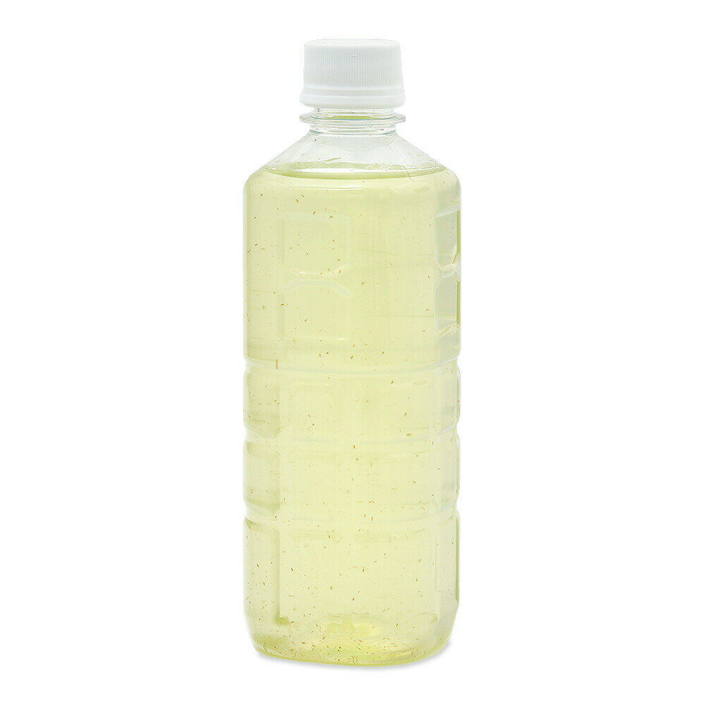 �����¡˥��ޥߥ������������500ml��1�ܡ�ff��num900���ץ�ߥ����յ��ѥա��ɡ��⥿��ѥ������ա��ɡ��ѥ�������30g���ܽ��͹����