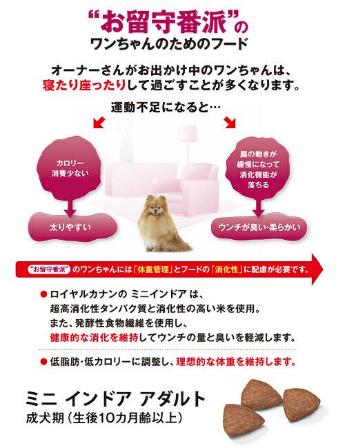 サンプル画像3