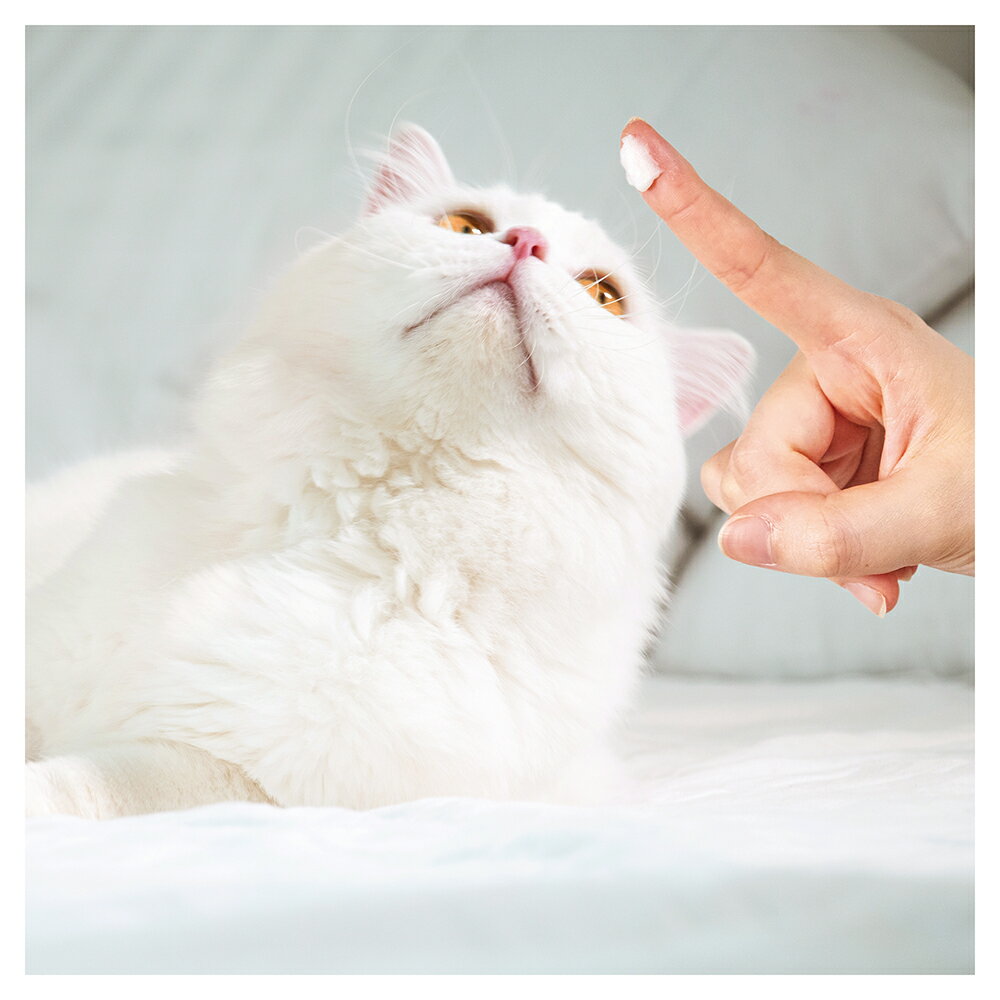 �ޥ륫�󡡤����������󡡥ڥå������塦ɡ���꡼��2P������������