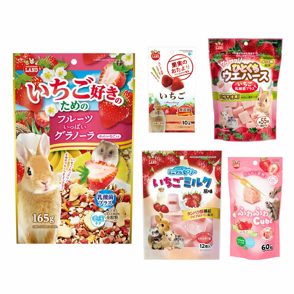 マルカン いちご好きのためのいちごおやつ・フードセット 関東当日便