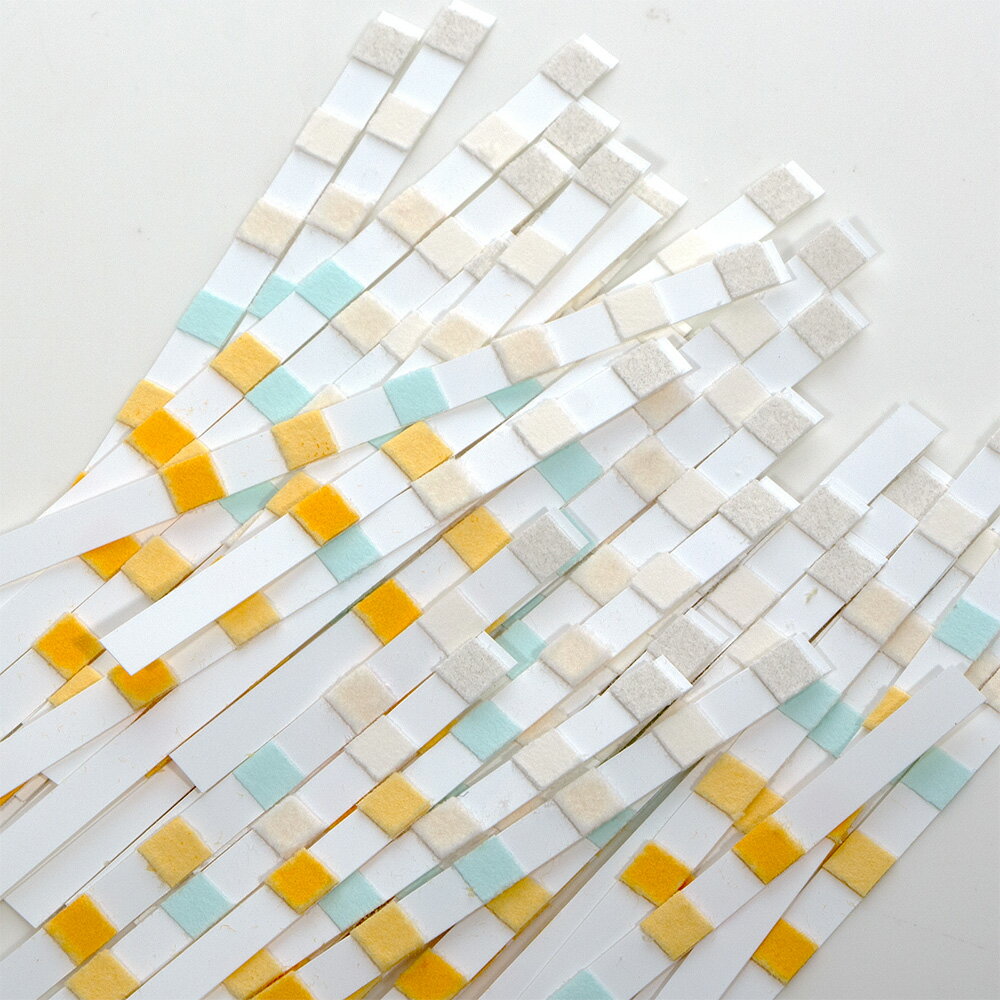 ALOHI　水質検査紙　6in1（淡水・海水両用）50本入り　関東当日便