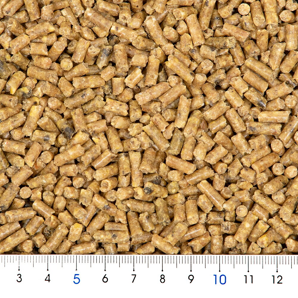 ラウディブッシュ　シニアダイエット（スモール）　1．25kg　正規品　鳥　フード　関東当日便 chanet-11159469 charm 楽天市場店 サンプル画像2