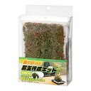 JUN J.GREEN 苔玉作成キット(5点セット) 関東当日便