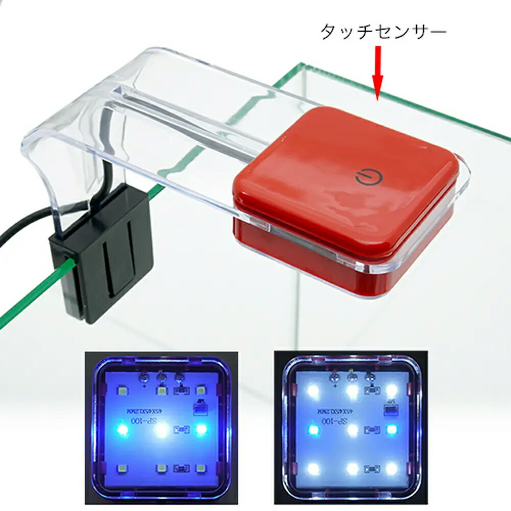 ���ȥ֥����ݡ����ꥹ���륭�塼��200����������LED��9����åɡ��饤�ȡ����饹���塡20��20��20cm���������塡����������