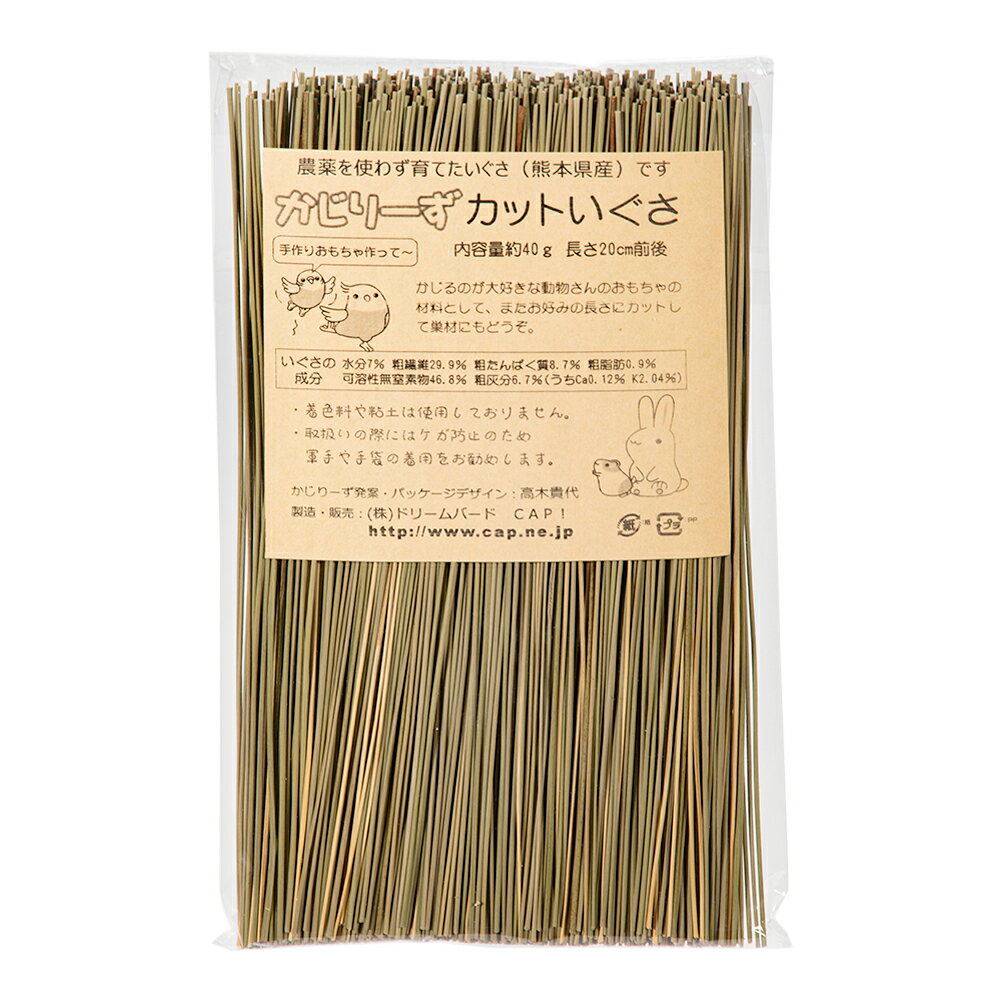 かじりーず　カットいぐさ　40g　20cmカット　関東当日便