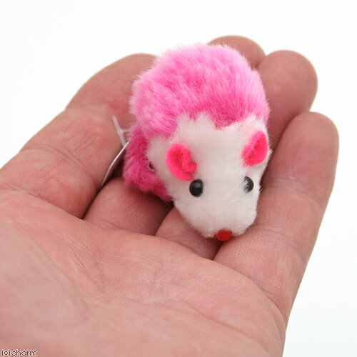 ��3��1�����������Ψ2ʬ��1��1������100�󡡥롼�ס��饤�ȥ�٥롡����åȥȥ����ߥ˥ޥ����������ޤ���