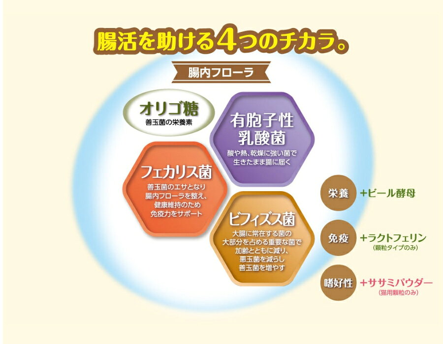 犬　サプリ　セレクトバランス　善玉菌のチカラ　犬用　顆粒タイプ　300g　関東当日便 chanet-11163416 charm 楽天市場店 サンプル画像3