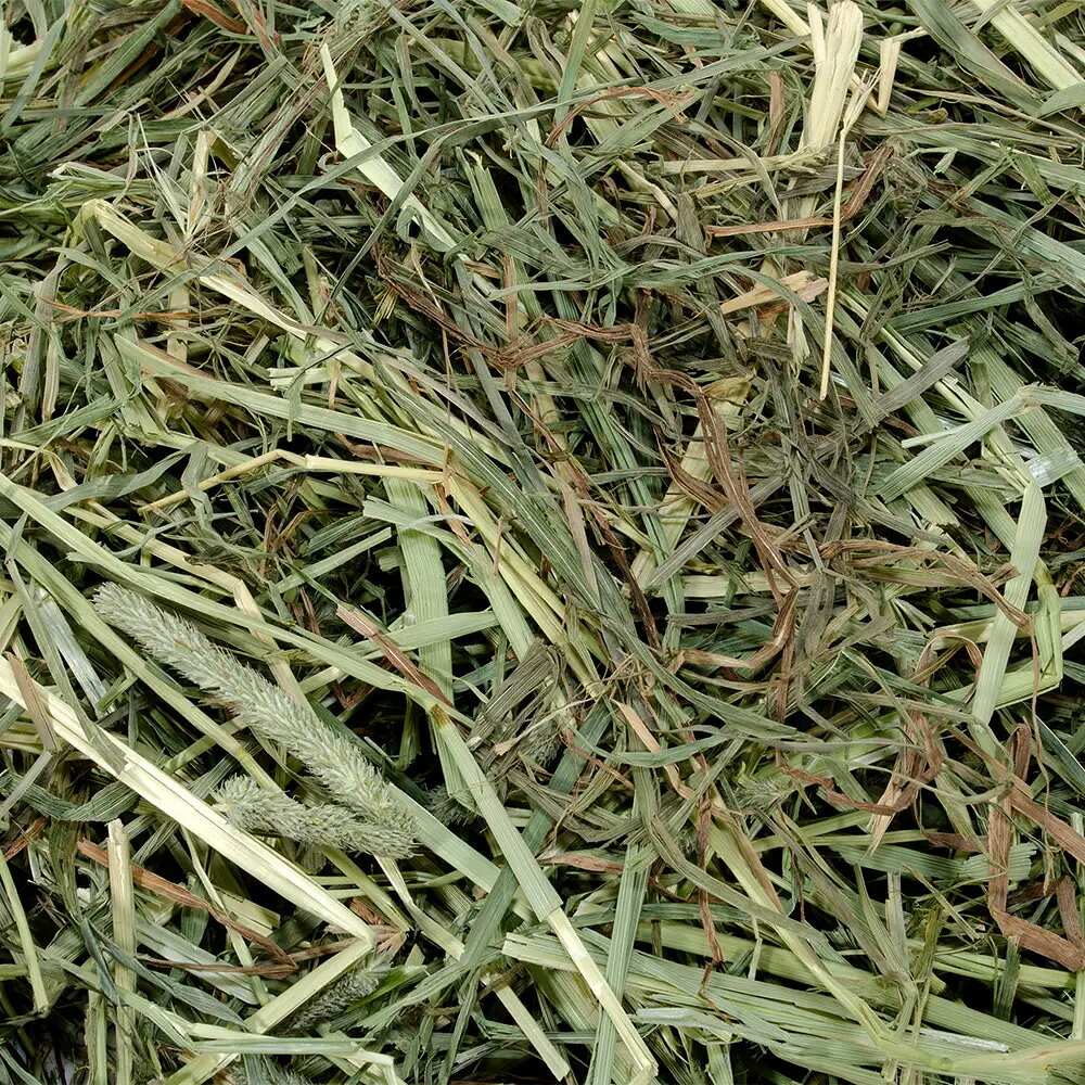 OXBOW　ヘイブレンド　425g×3　うさぎ　牧草　関東当日便