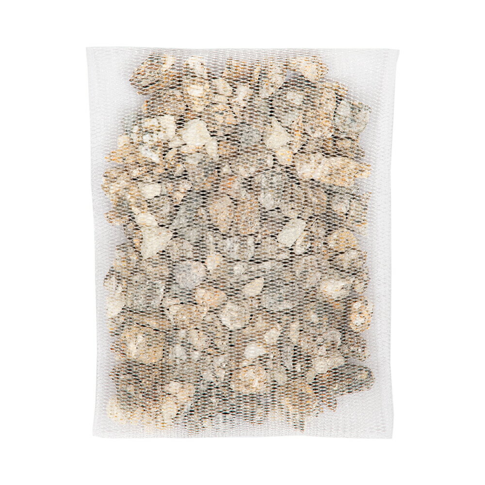 ���ͥ��ߥե��������ФΤ���ࡡ1����������������