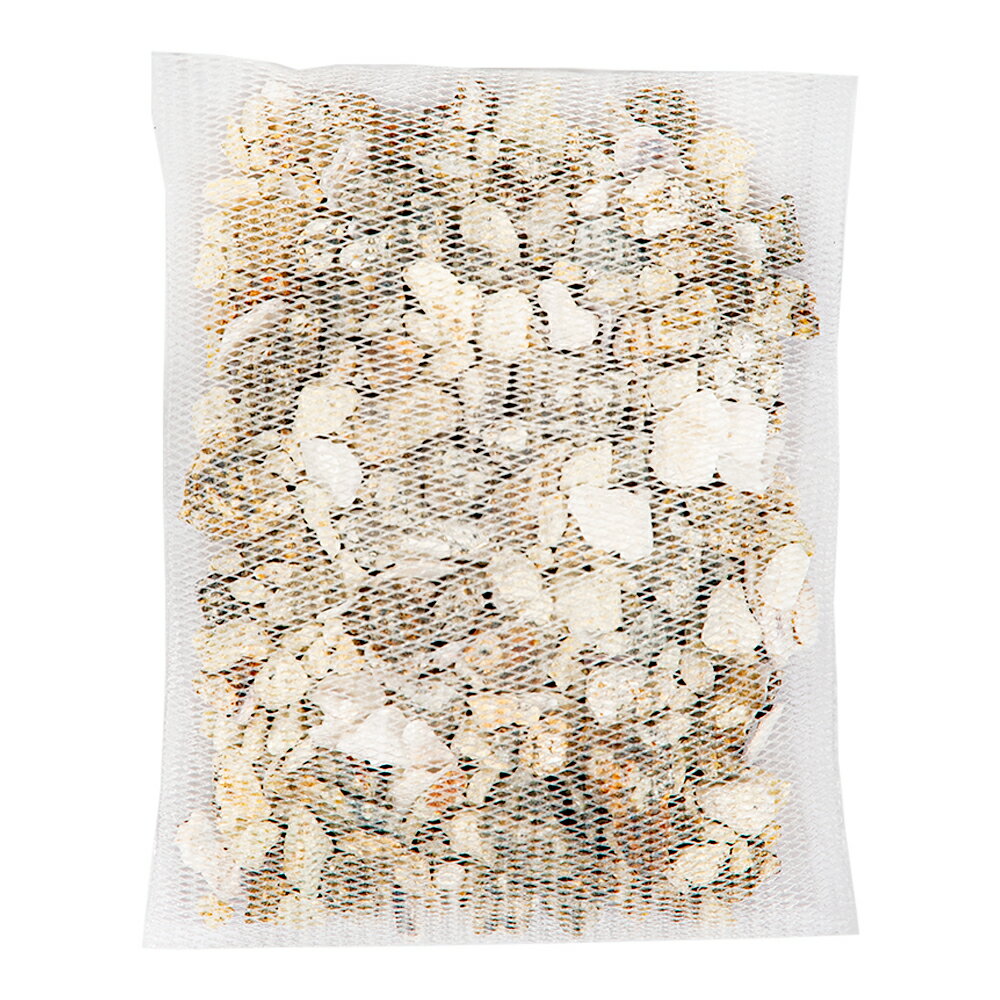 ���ͥ��ߥե���ĶǼƦ�ݤ���ࡡ1����������������