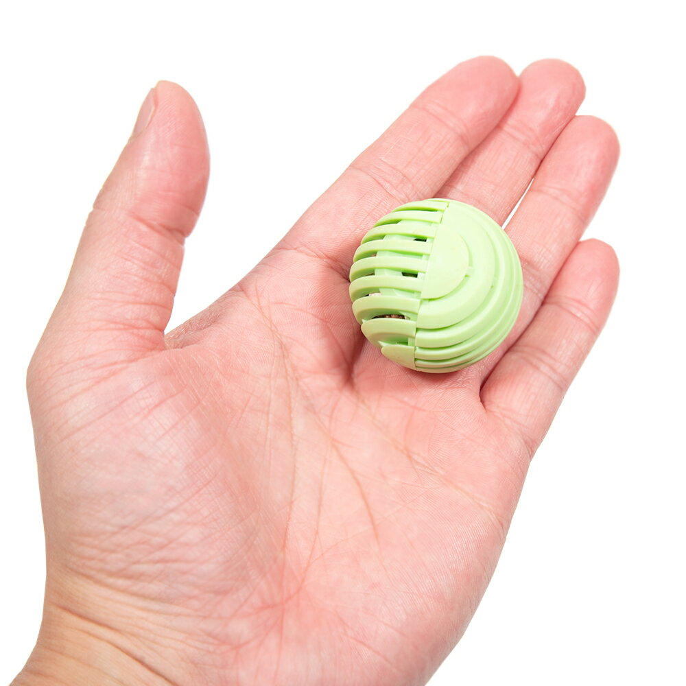 ���ͥ��ߥե���Ķ������Ǥ������������ܡ��롡1����������������