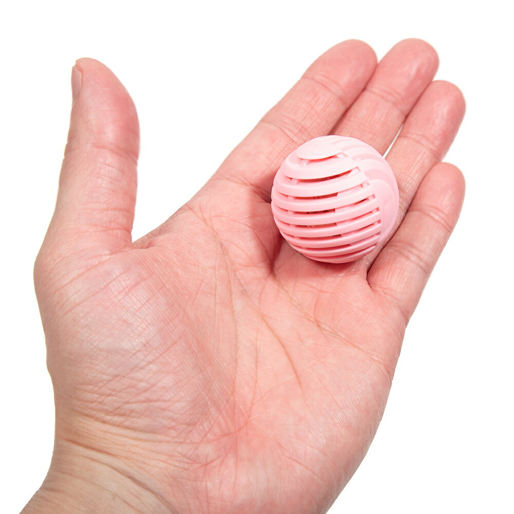 ���ͥ��ߥե���Ķ������Ǥ�������ܡ��롡1����������������