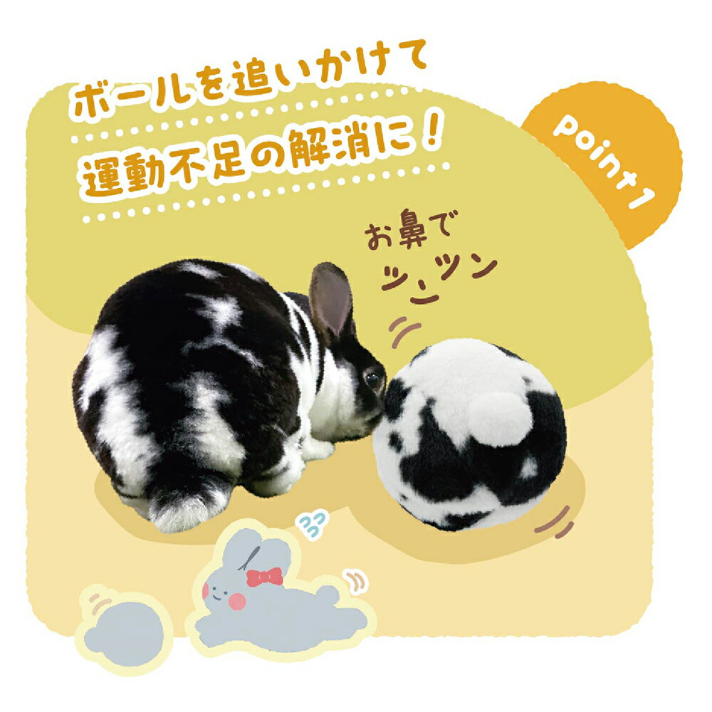 ミニアニマン　たれ耳フレンズ　うさけつボール　関東当日便
