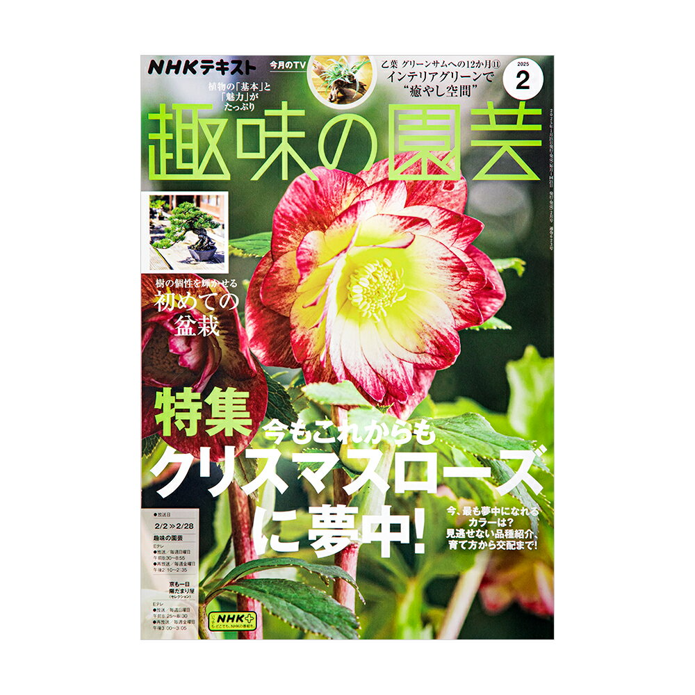 楽天市場】クリスマスローズ(本・雑誌・コミック)の通販 楽天市場】クリスマスローズ(本・雑誌・コミック)の通販