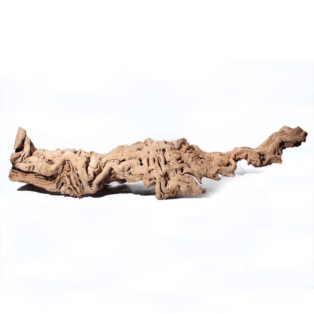 一点物　ぶどうの木　隠れ家シェルター　爬虫類　両生類　小動物　314203【HLS_DU】　関東当日便 3