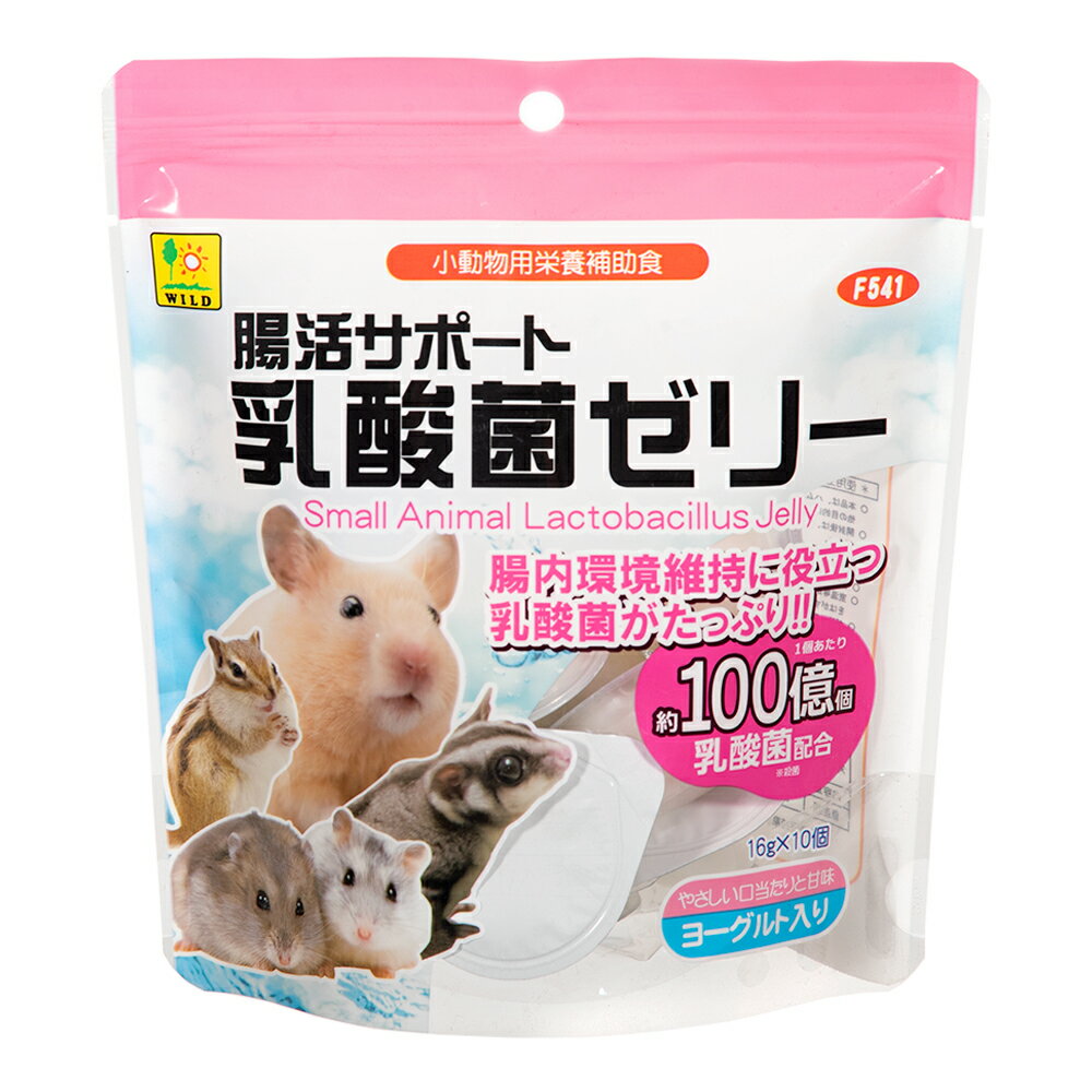 三晃商会　腸活サポート乳酸菌ゼリー　16g×10個入り　関東当日便