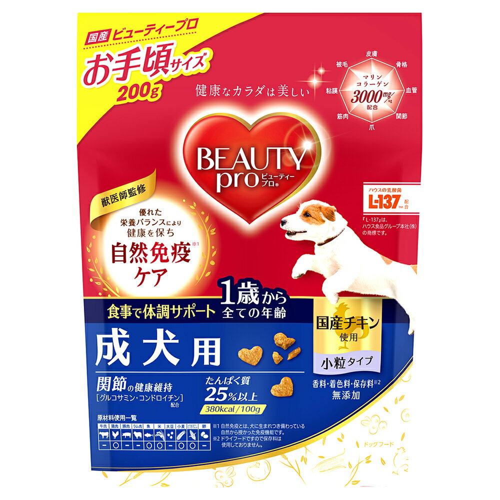 �r���[�e�B�[�v�� �h�b�O �����p 1�΂��� 200g