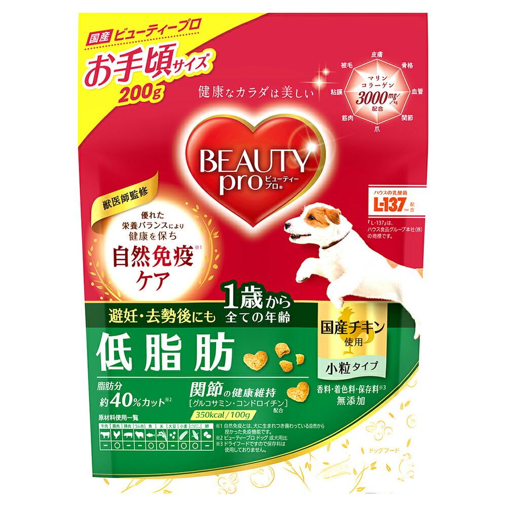 �r���[�e�B�[�v�� �h�b�O �ᎉ�b 1�΂��� 200g