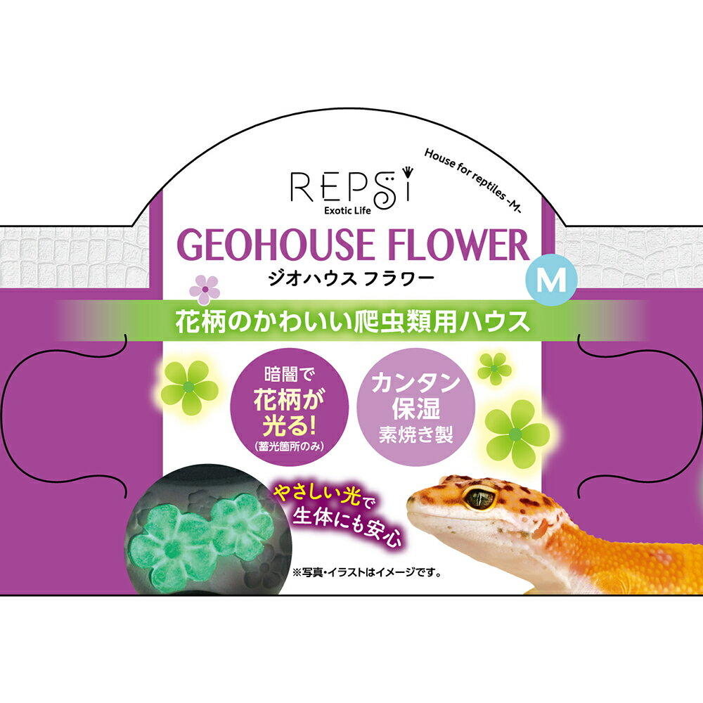 マルカン ジオハウス フラワー M 関東当日便の紹介画像2