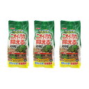 アウトレット品 GEX カメ元気 ニオイ・汚れを抑える砂利 0.6L×3 訳あり 関東当日便