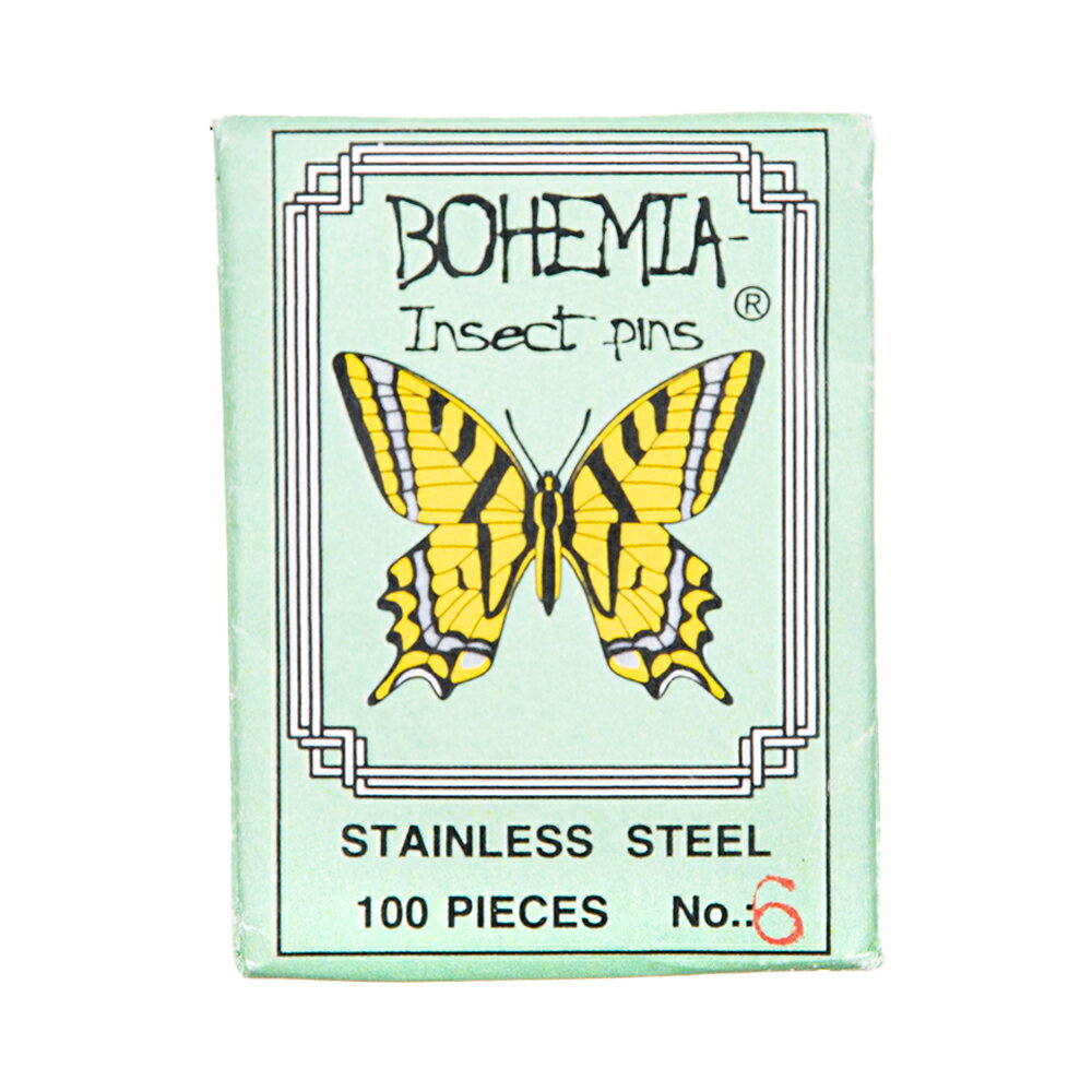 標本針　BOHEMIA　InsectPins　6号　100本入り　長さ38mm　関東当日便