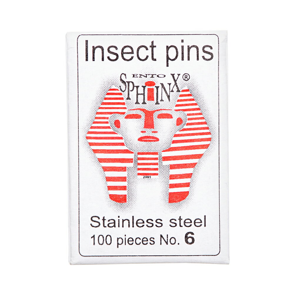 標本針　Ento　Sphinx　Insect　Pins　6号　100本入り　長さ38mm　関東当日便