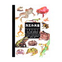 カエル大全 FROGS OF THE WORLD 関東当日便