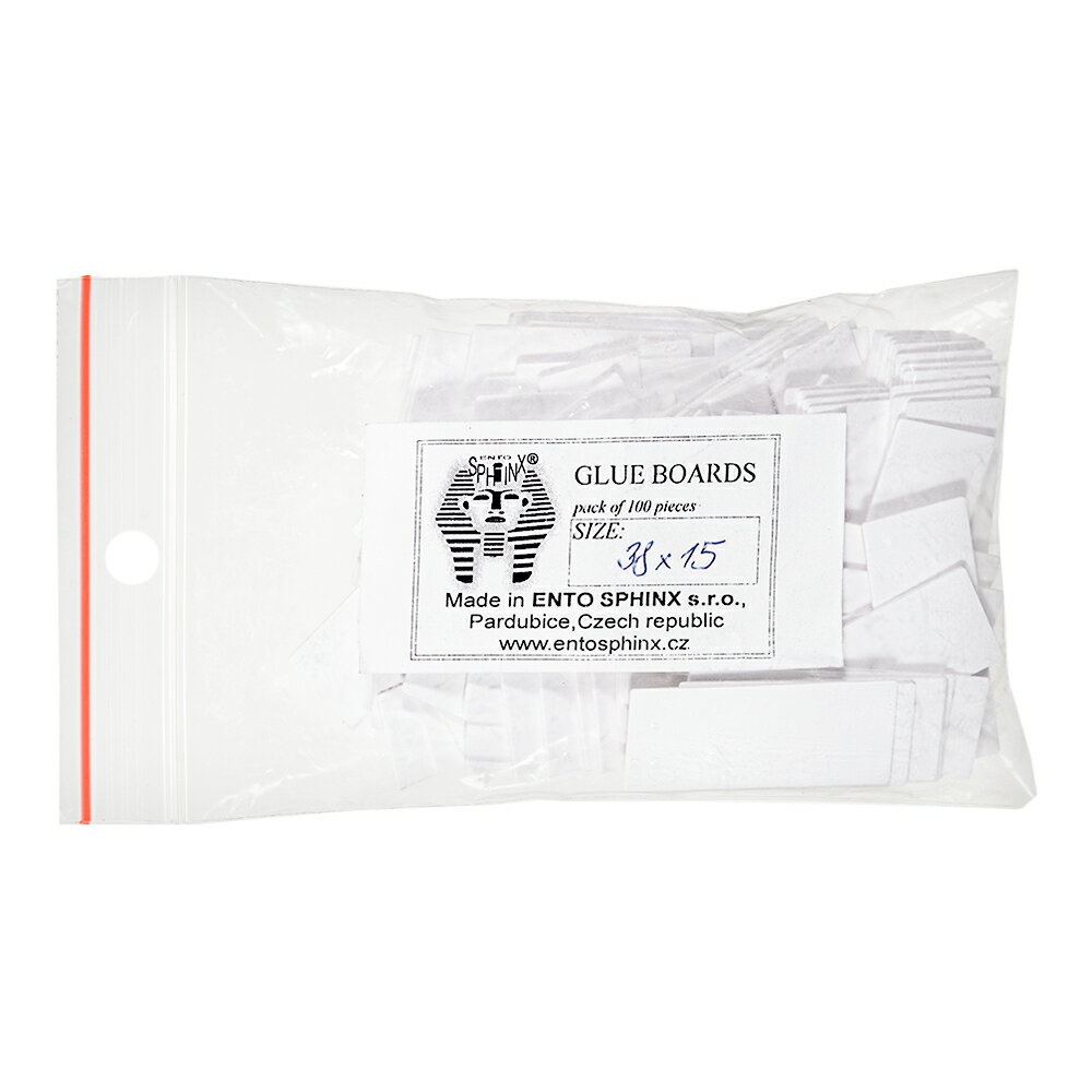 チェコ製 小型昆虫貼り付け台紙 38×15mm 100枚入り 関東当日便