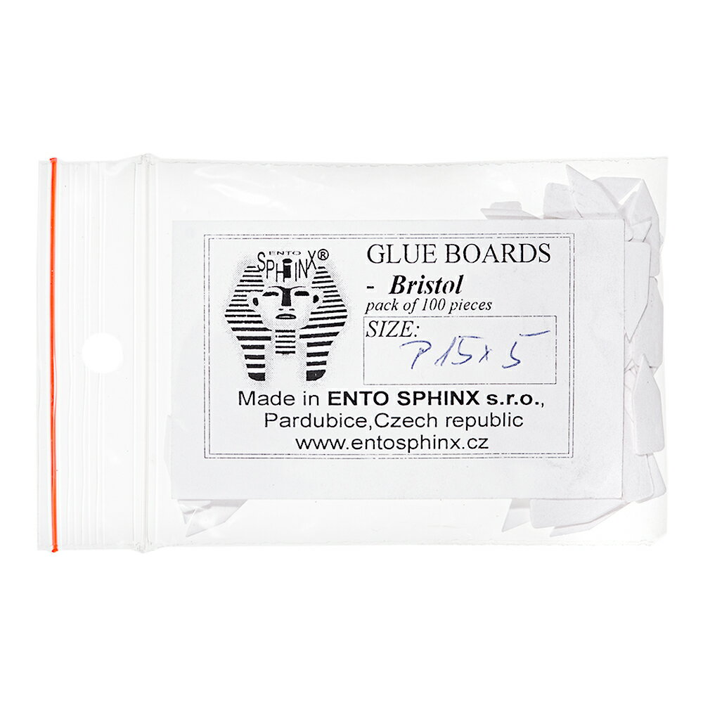 チェコ製 小型昆虫貼り付け台紙 P15×5mm 100枚入り 関東当日便