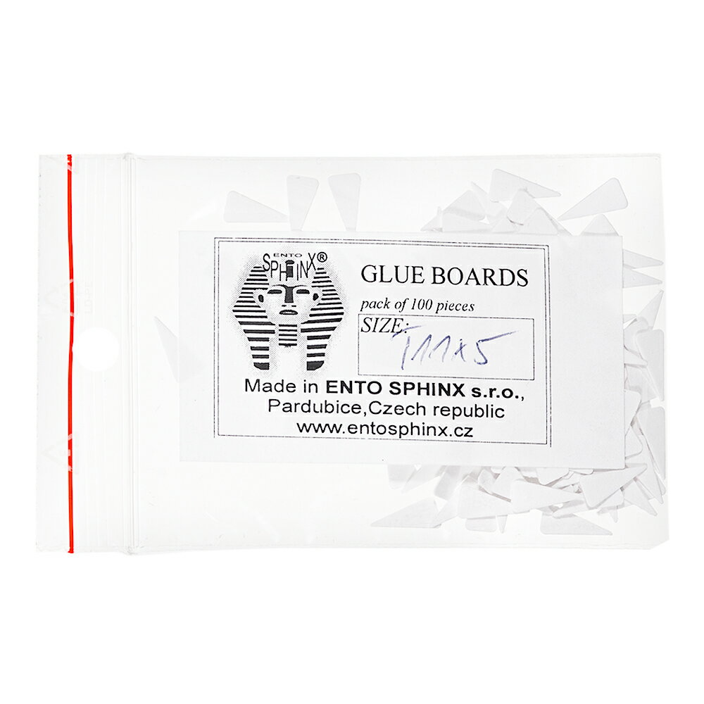 チェコ製 小型昆虫貼り付け台紙 T11×5mm 100枚入り 関東当日便