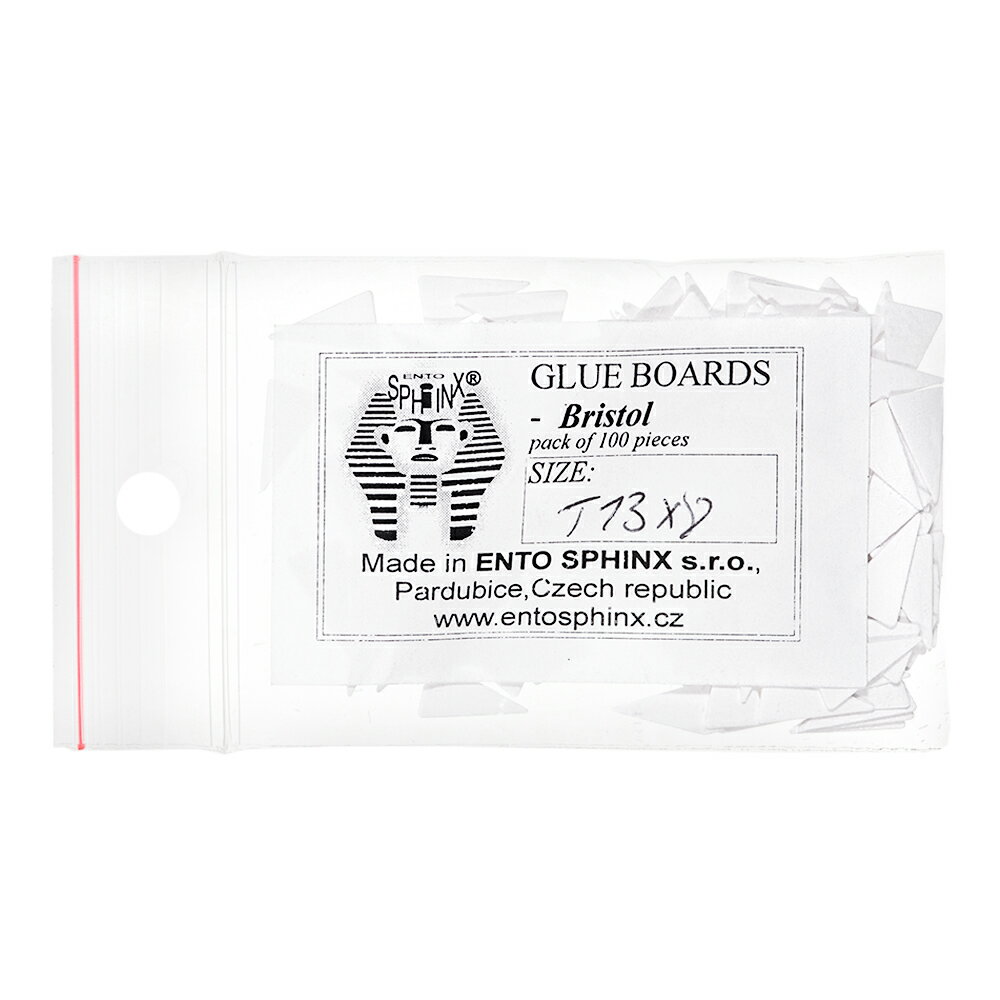 チェコ製 小型昆虫貼り付け台紙 T13×8mm 100枚入り 関東当日便