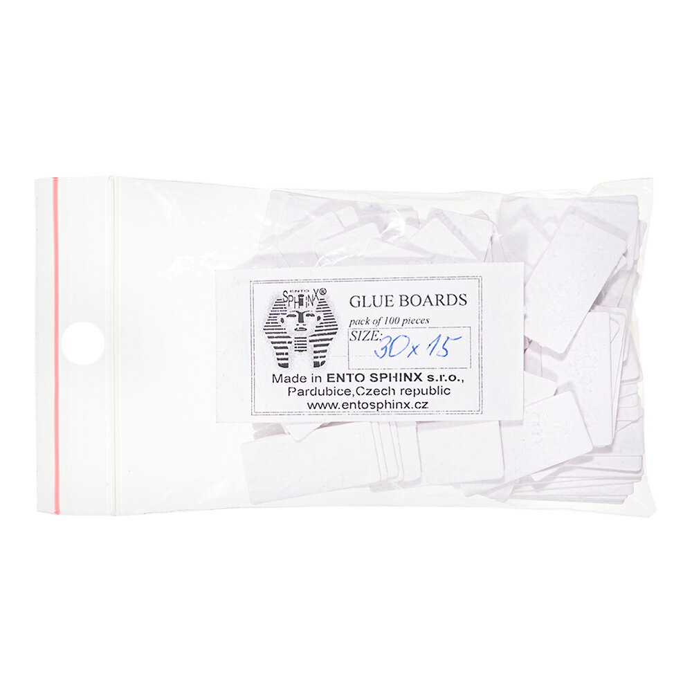 チェコ製 小型昆虫貼り付け台紙 30×15mm 100枚入り 関東当日便