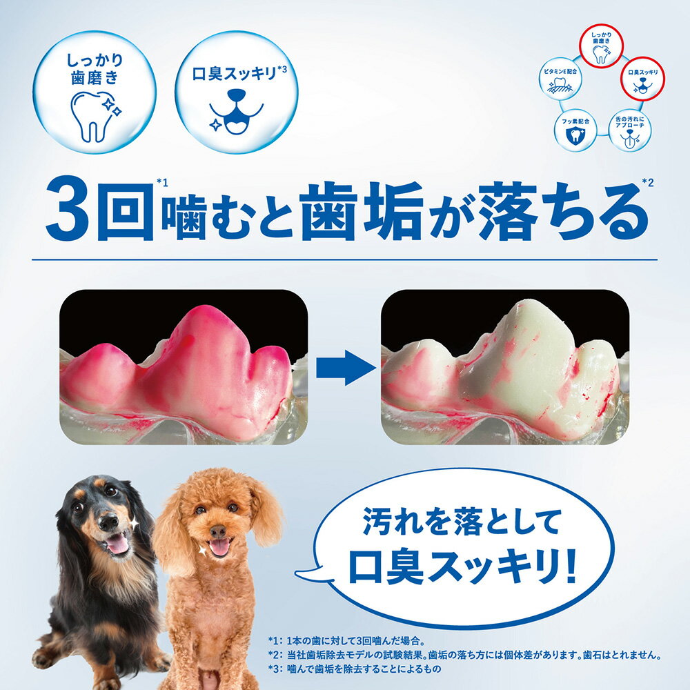 ���塼�ǥ�ȡ����ߤ������ѥ��ࡡ�����륤����M��70g������������