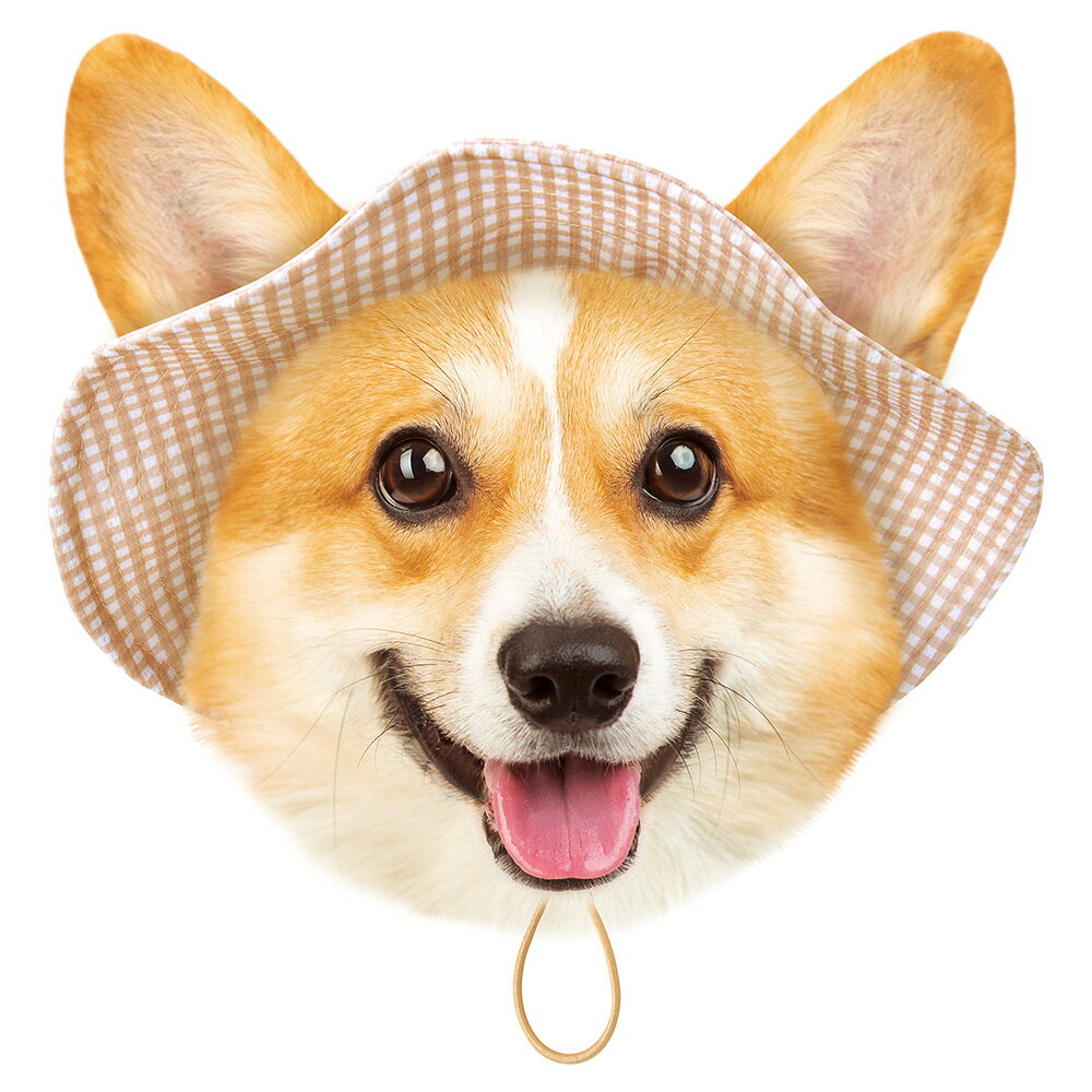 マルカン　虫よけ　おさんぽハット　L　関東当日便