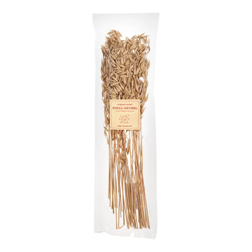 樂天商城 - オーツの穂　50g　関東当日便