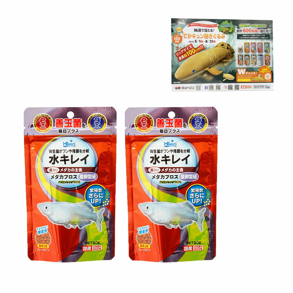 硼󡡥ץ˿20g2Ϥդ25¤ꡡ